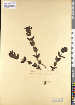 LE 01100705