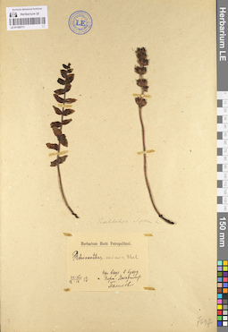 LE 01100711