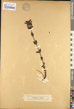 LE 01100721