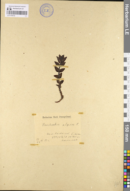 LE 01100722