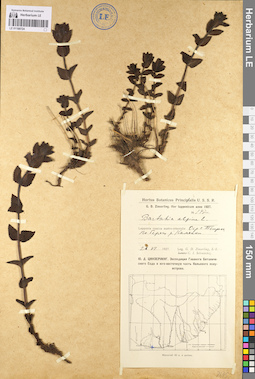 LE 01100724