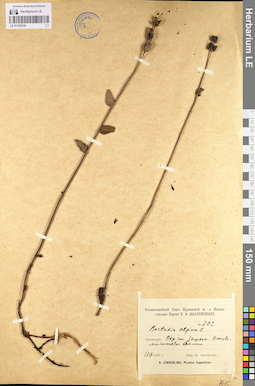 LE 01100726