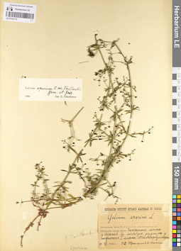LE 01101773
