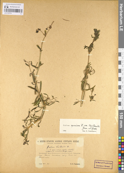 LE 01101774