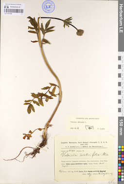 LE 01101788