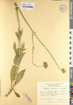 LE 01101797