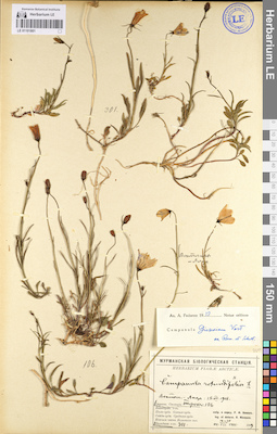 LE 01101801