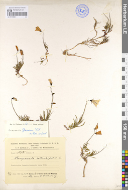 LE 01101802