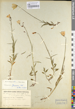 LE 01101803