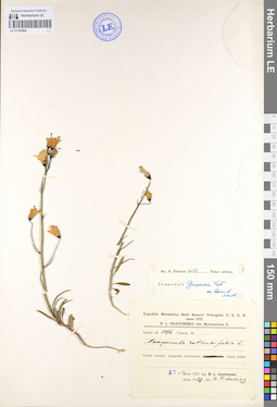 LE 01101804