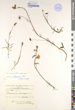 LE 01101805