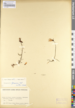 LE 01101806