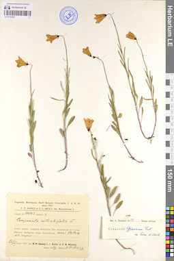 LE 01101807