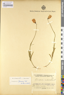 LE 01101813