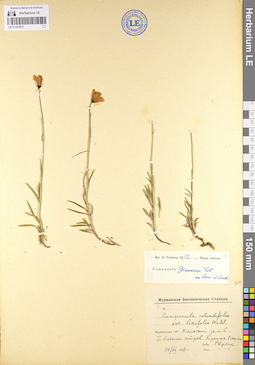 LE 01101815