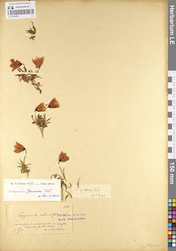 LE 01101816