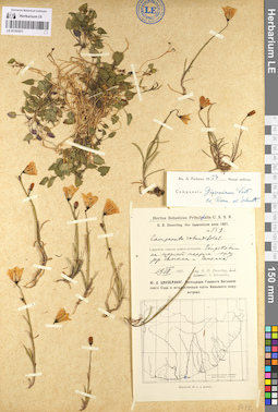 LE 01101817
