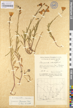 LE 01101818