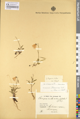 LE 01101821