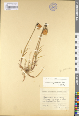LE 01101825