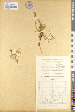 LE 01101828