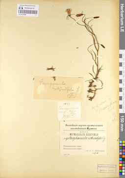 LE 01101836
