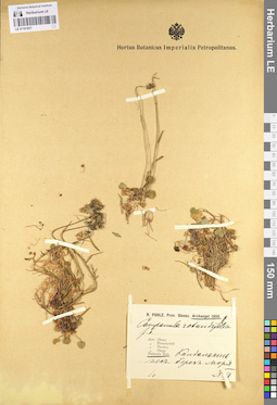 LE 01101837