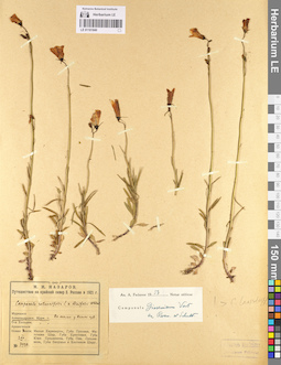 LE 01101840