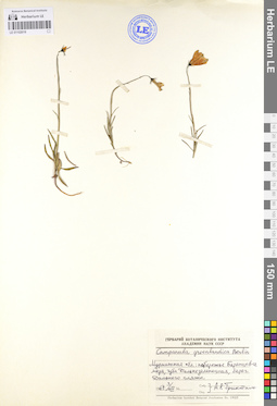 LE 01102019