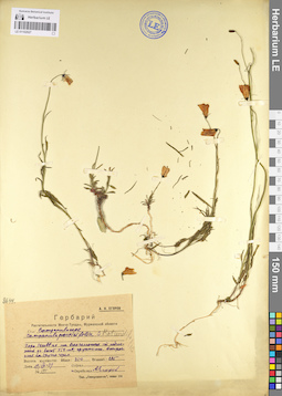 LE 01102027