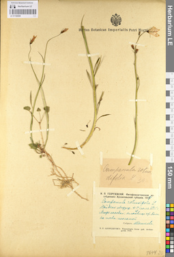 LE 01102028
