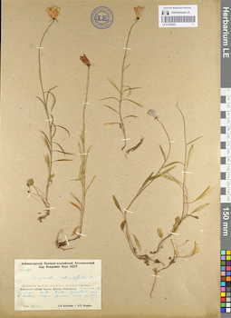 LE 01102032