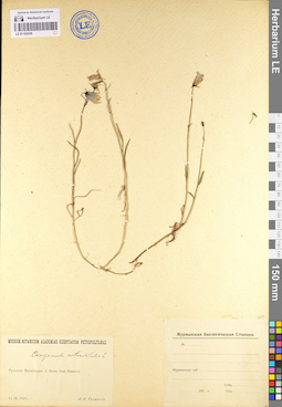 LE 01102039