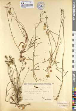 LE 01102040