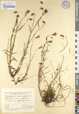 LE 01102041