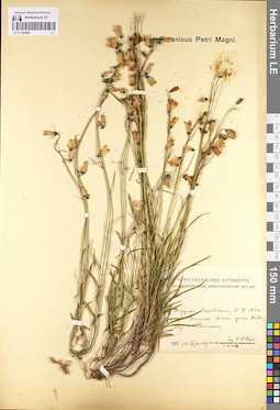 LE 01102044