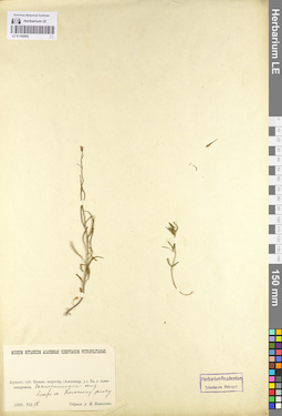 LE 01102052