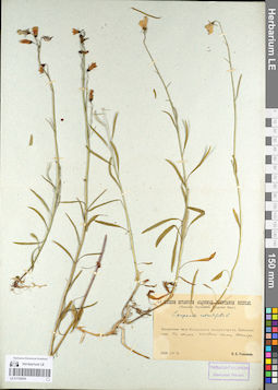 LE 01102054