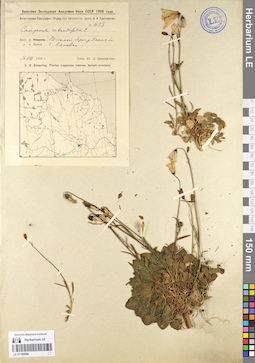 LE 01102056