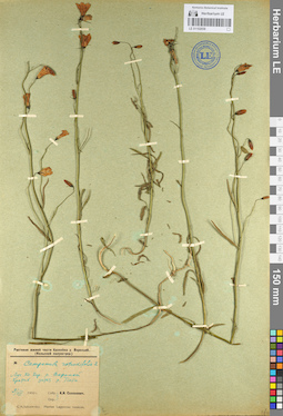 LE 01102058