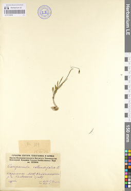 LE 01102059