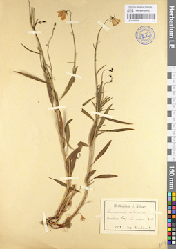 LE 01102060