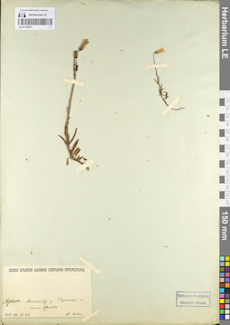 LE 01102072