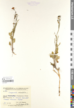 LE 01102078