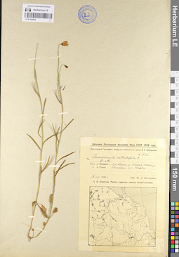 LE 01102079
