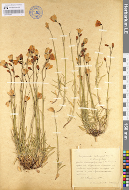LE 01102091