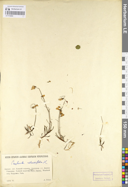 LE 01102093