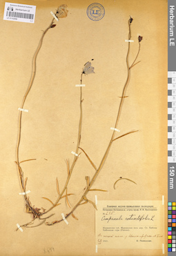 LE 01102098