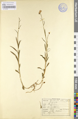 LE 01102104