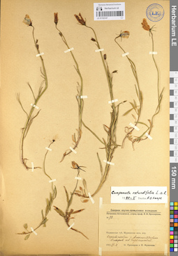 LE 01102147